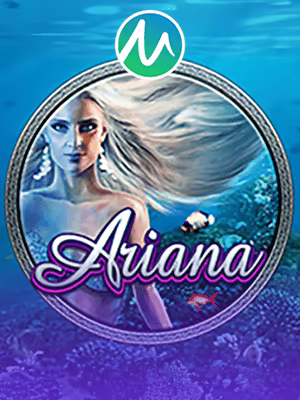 Banner game bitcoin casino no deposit bonus btc7777777.com SLOT